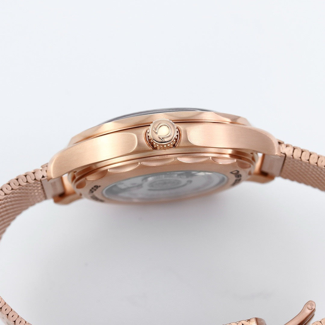 OMEGA Seamaster ER Upgraded Titanium Bronze Gold 007 Watch