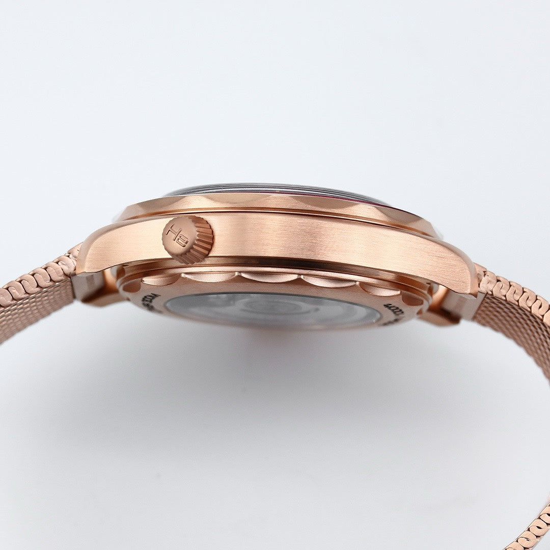 OMEGA Seamaster ER Upgraded Titanium Bronze Gold 007 Watch